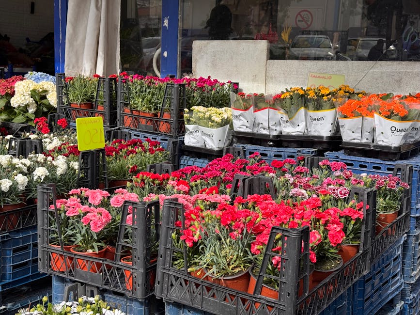 A display of blooming pink and red carnations in terracotta pots arranged in black plastic crates outside a flower shop, with white, purple, orange, and yellow flowers also visible, set against a shop