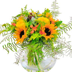 Exuding the lively ambience of Twickenham in summer, this abundant floral bouquet is a sensory delight, perfectly suited for special gatherings or simply brightening a day. Sunflowers with their vibrant yellow-orange petals dominate the arrangement, their broad, dark brown centers offering a bold focal point, reminiscent of the golden hours on York House Gardens' lawns. Among them, plush yellow garden roses spiral into generous blooms, their textured petals adding a luxurious softness. The visual rhythm is accentuated by clusters of glossy scarlet hypericum berries, lending playful energy and sparkling against the fine, feathery green ferns that tumble outwards. Delicate sprigs of light green filler, dotted with tiny golden flowers-perhaps solidago-bring an added layer of brightness, while eucalyptus leaves add a subtle, silvery-grey contrast and faintly cooling scent as the arrangement is lifted. The clear, round glass vase grounds the composition, its globe shape showcasing the submerged green stems in crystal water, like sunlight dancing on the River Thames. Every element feels thoughtfully arranged-a harmonious blend of wild beauty and careful craftsmanship, just as you'd expect from the skilled team of local florists at Flowers Twickenham. Whether presented as a birthday bouquet, a housewarming centrepiece, or a gesture of gratitude along Church Street, this bouquet brims with cheer, vitality, and a touch of riverside elegance.
